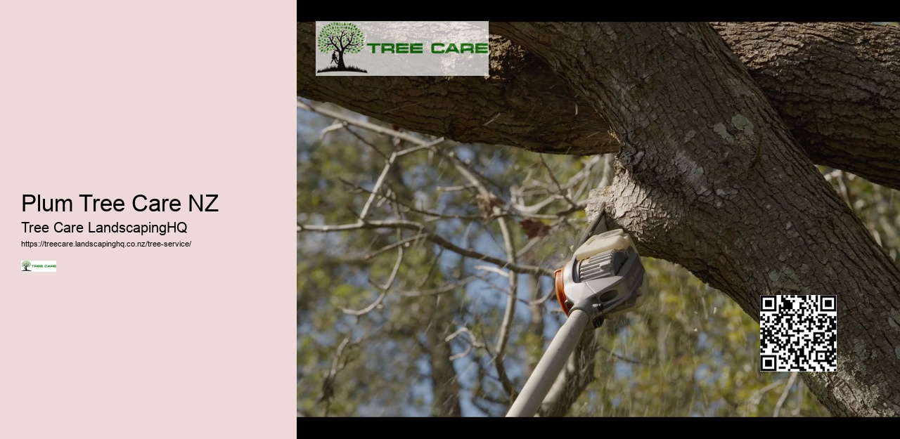 Tree Trimming Tauranga