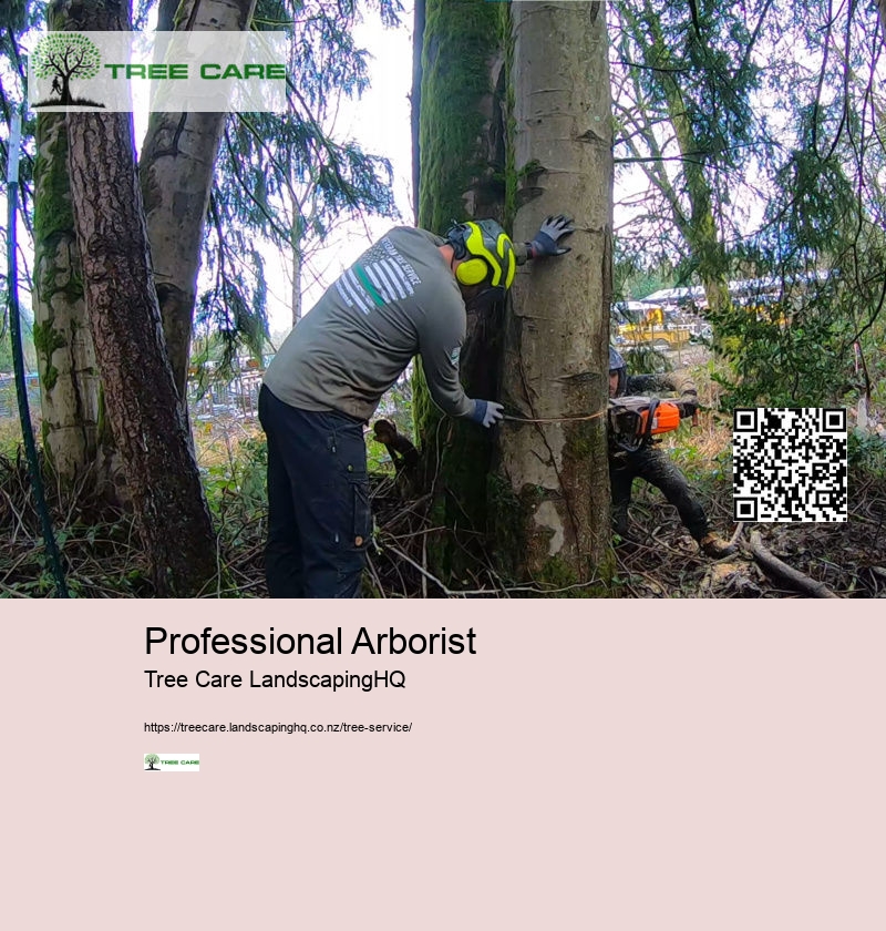 Professional Arborist