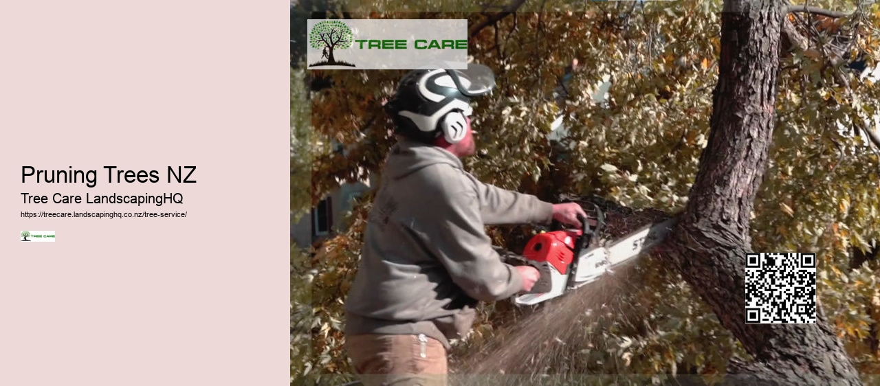 Arborists Nelson