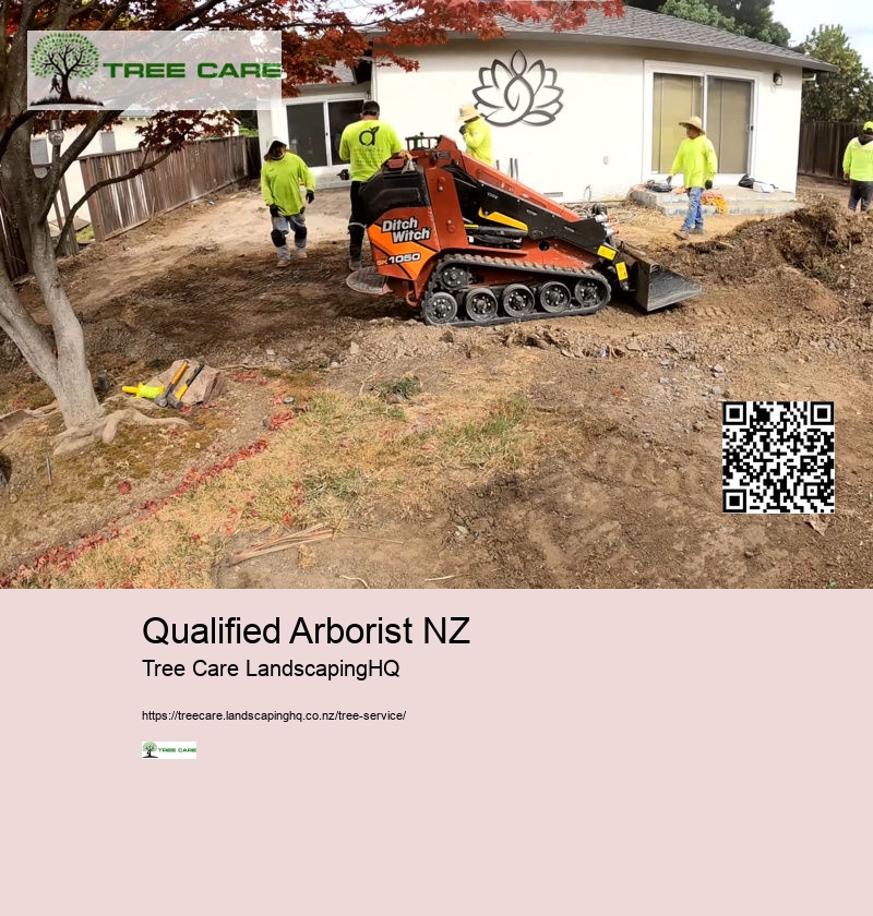 Qualified Arborist NZ