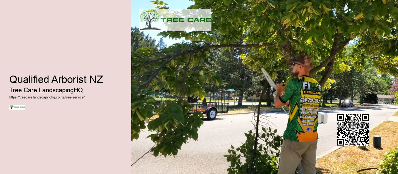 Tree Trimming Whangarei