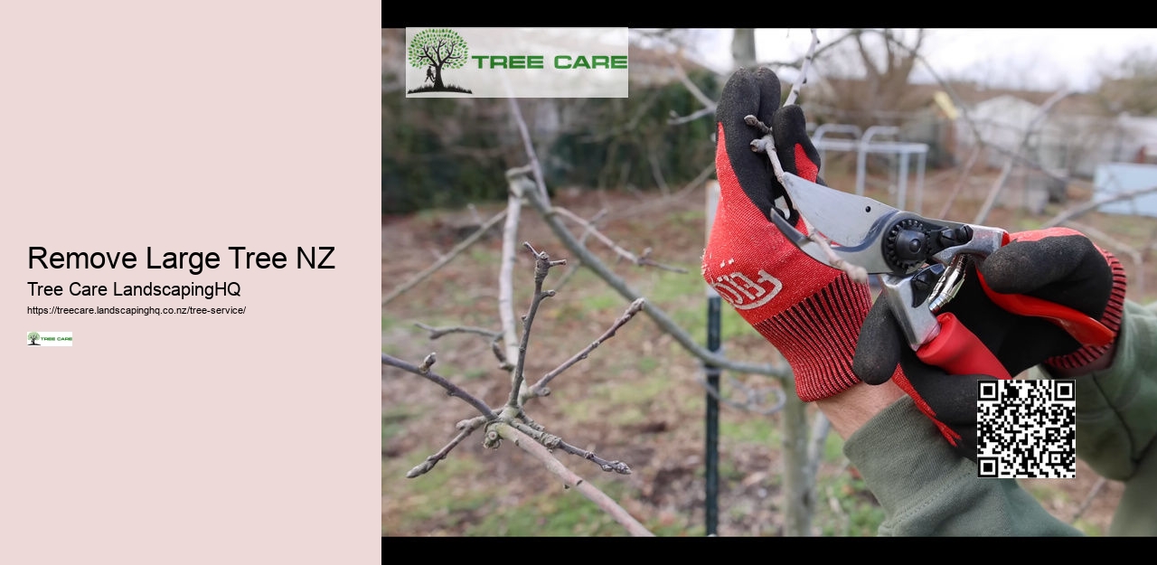 Tree Services Christchurch