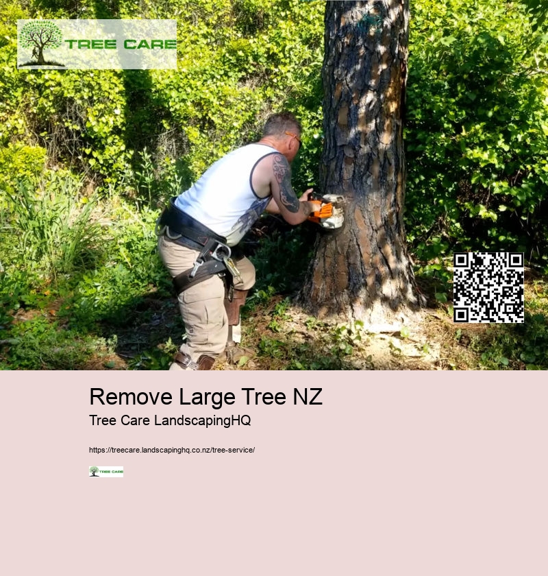 Remove Large Tree NZ