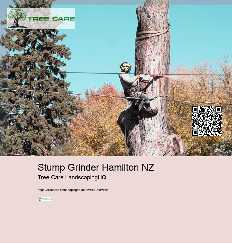 Stump Grinder Hamilton NZ