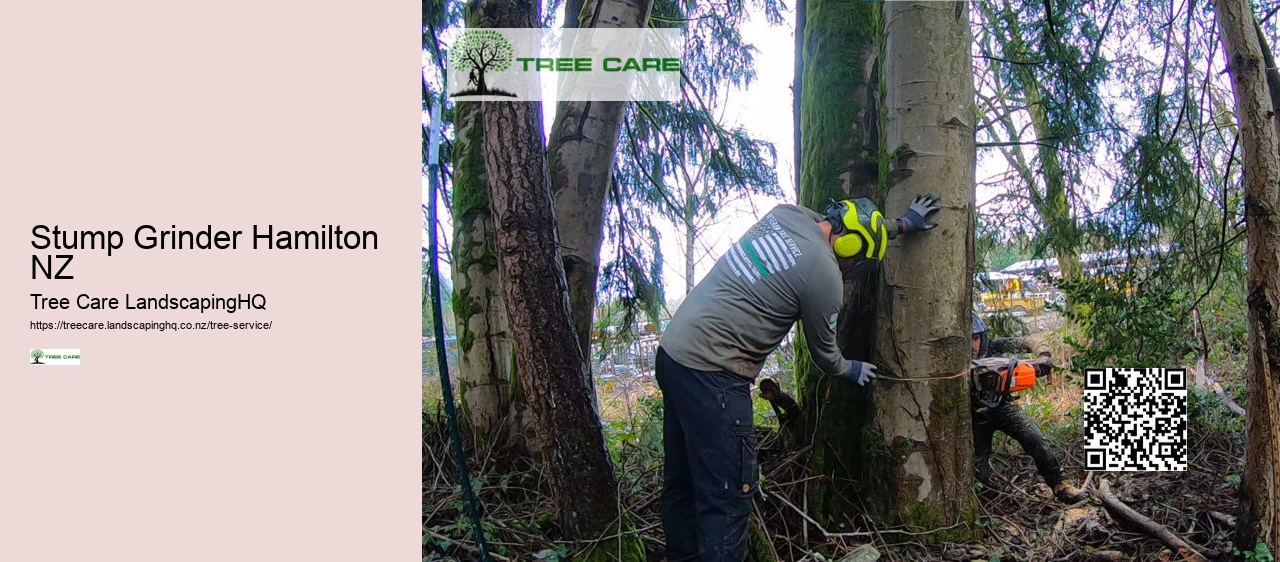 Qualified Arborist Christchurch NZ