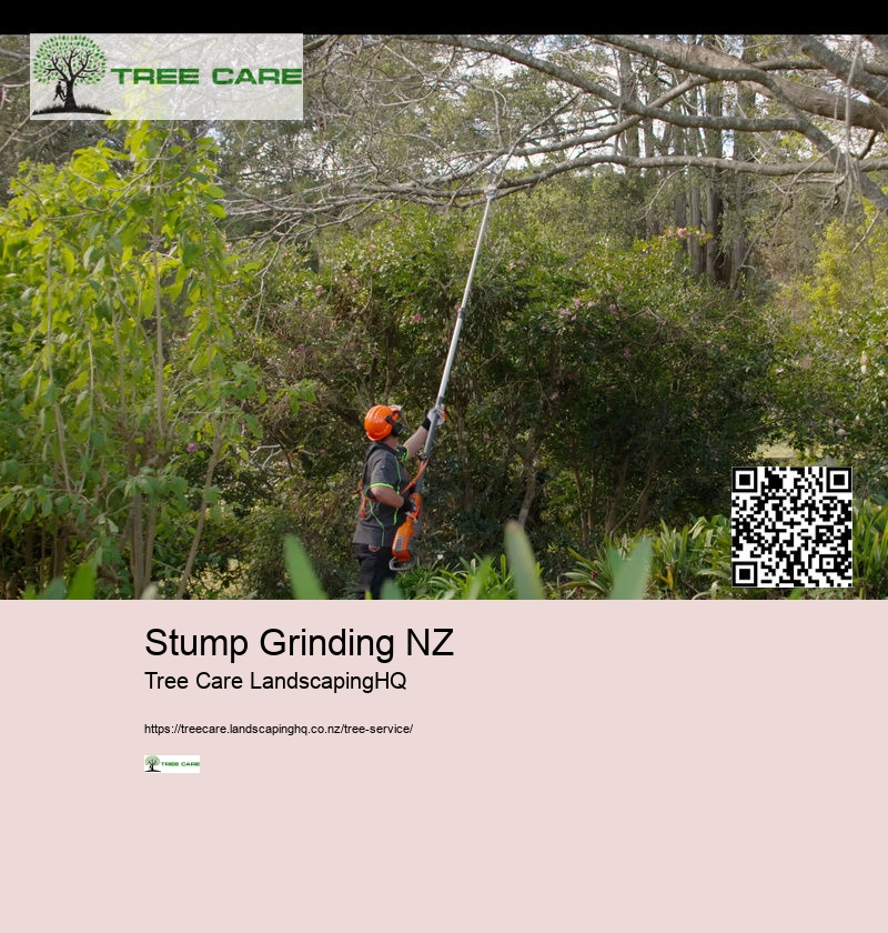 Stump Grinding NZ