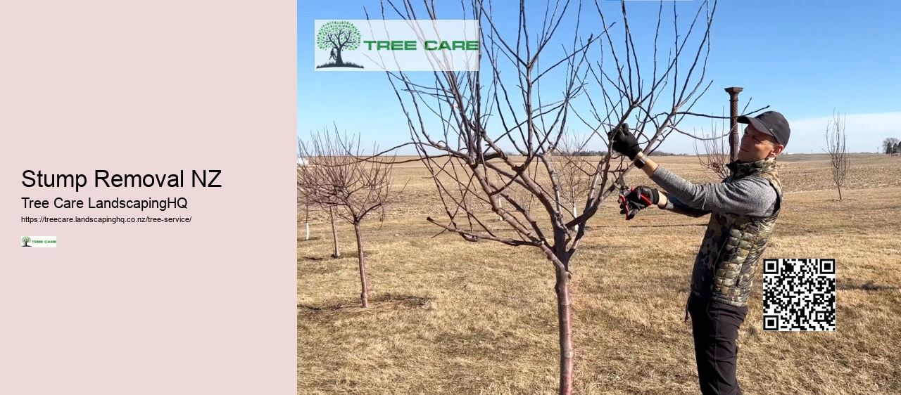 Tree Removal Upper Hutt