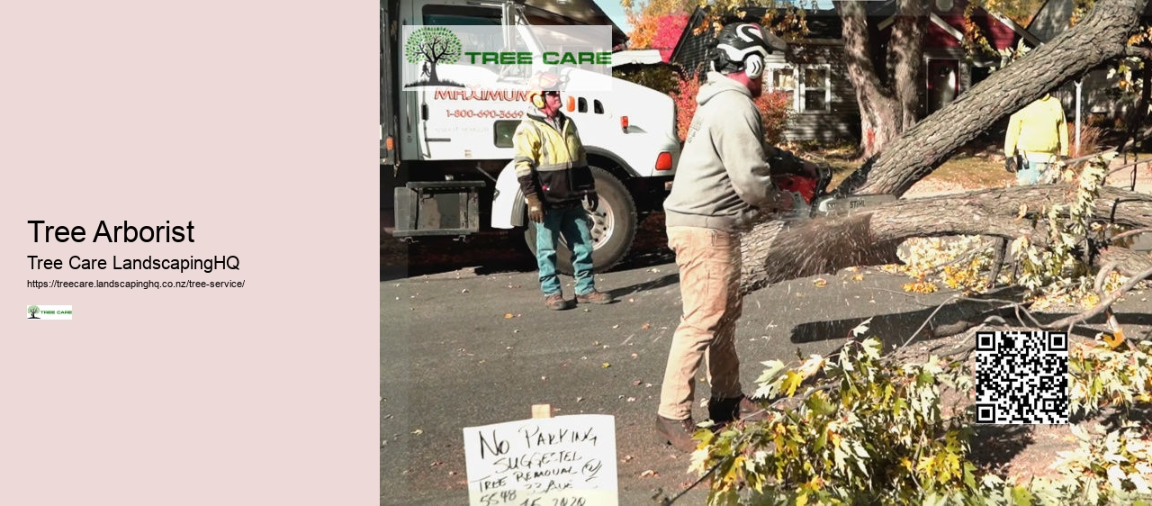 Mandarin Tree Care NZ