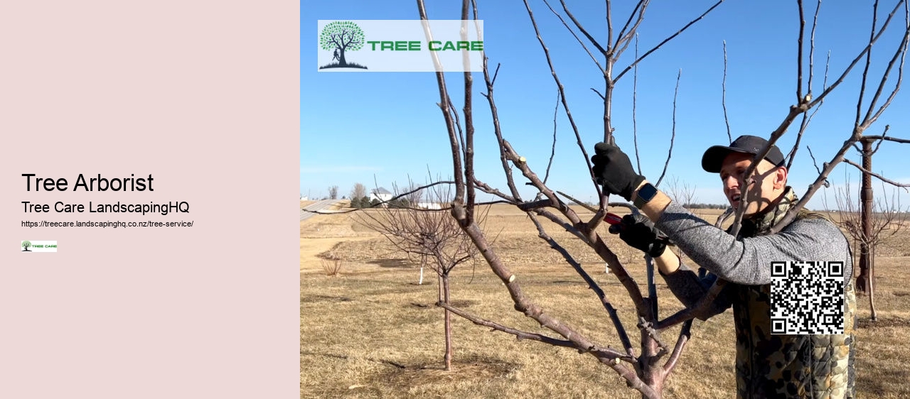 Arborist Hamilton New Zealand