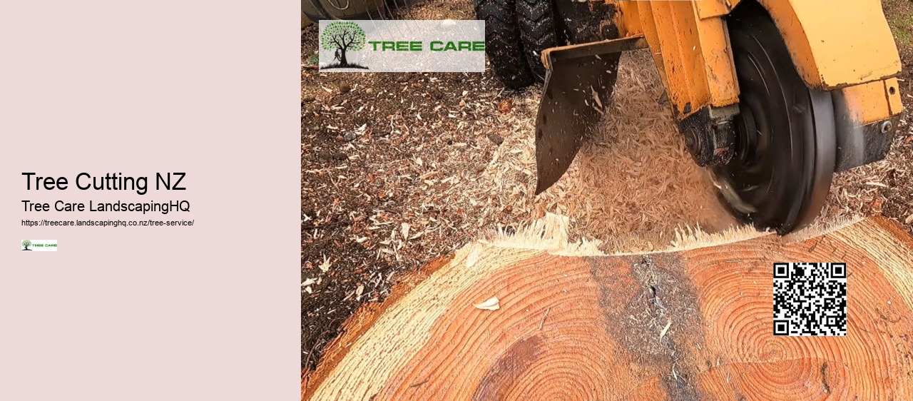 Tree Removal Dunedin