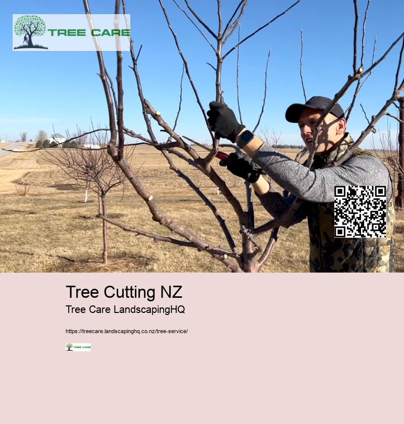 Tree Cutting NZ