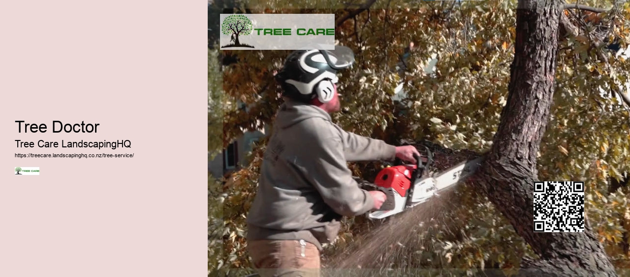 Tree Trimming Chch