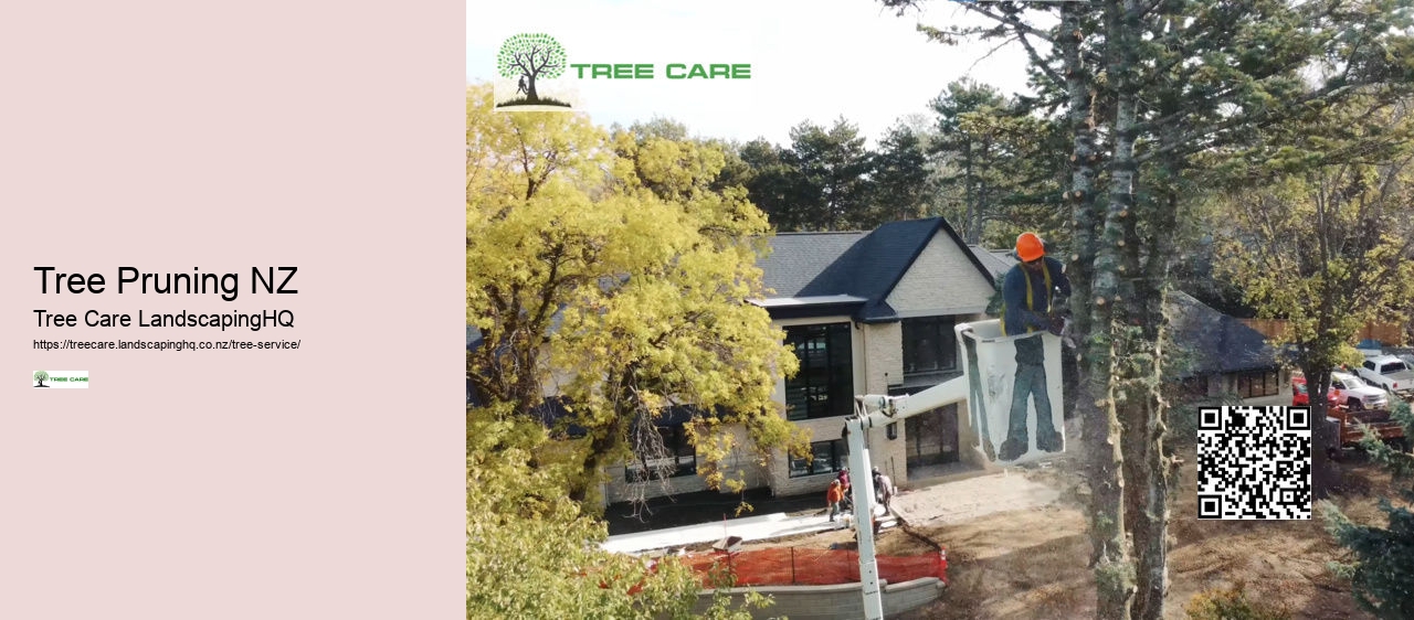 Arborist Lower Hutt