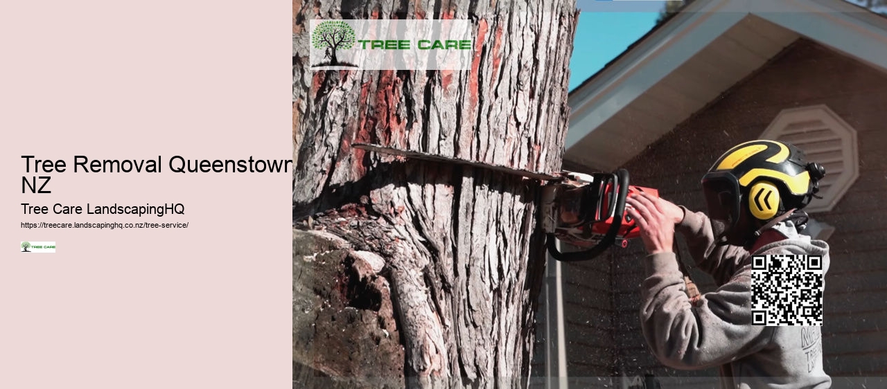 Arborist Auckland