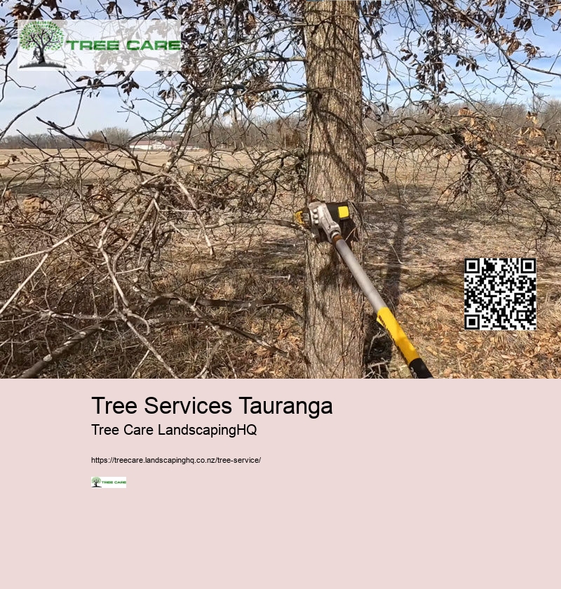 Tree Services Tauranga