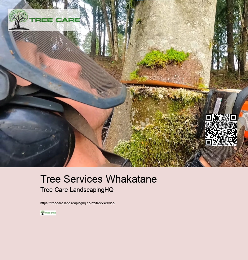 Tree Services Whakatane