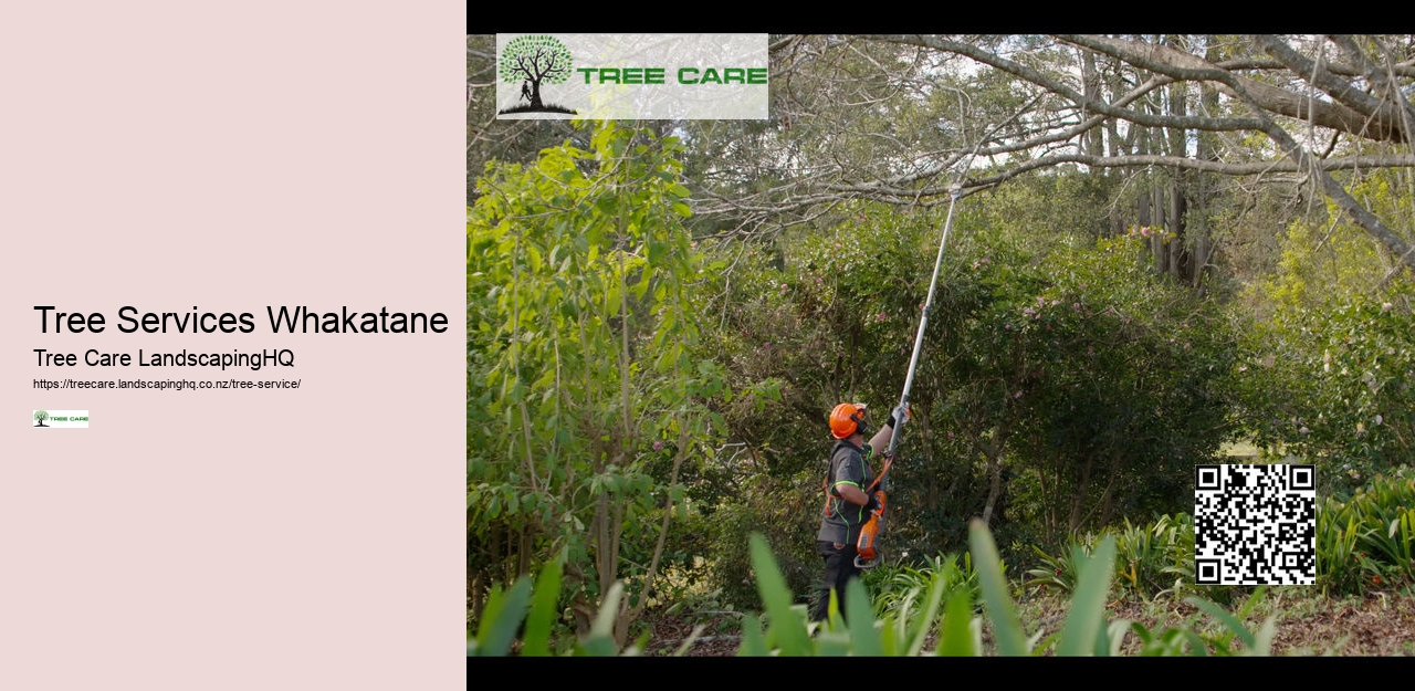 Arborist NZ