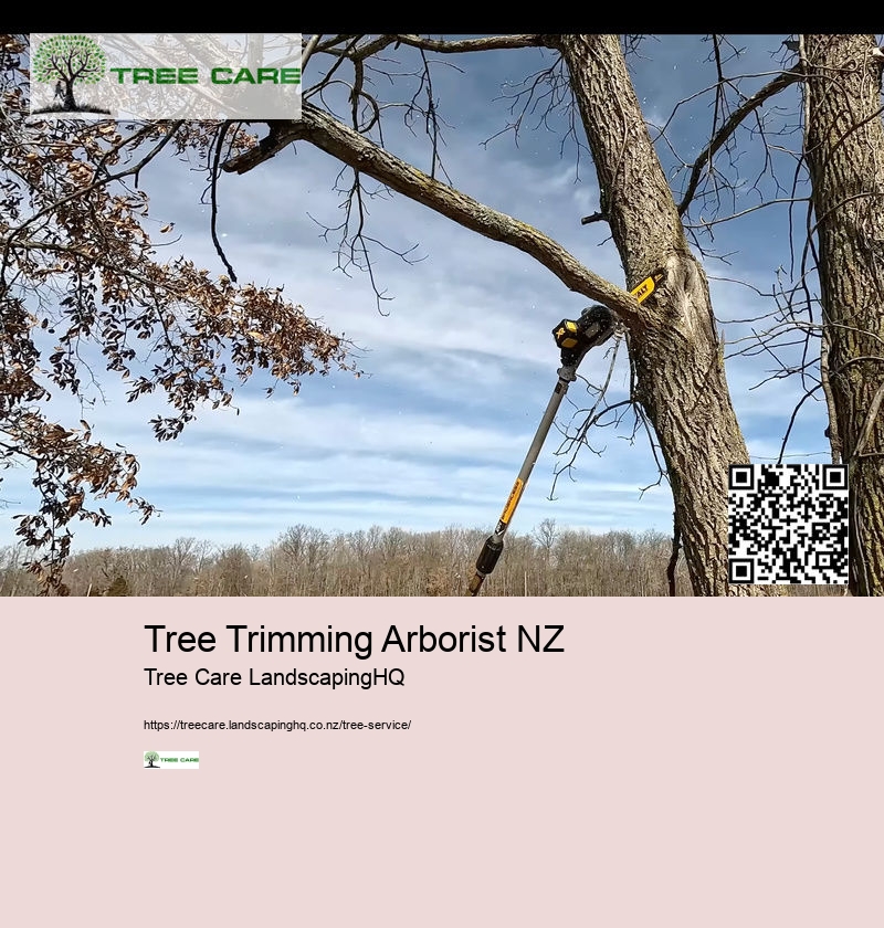 Tree Trimming Arborist NZ