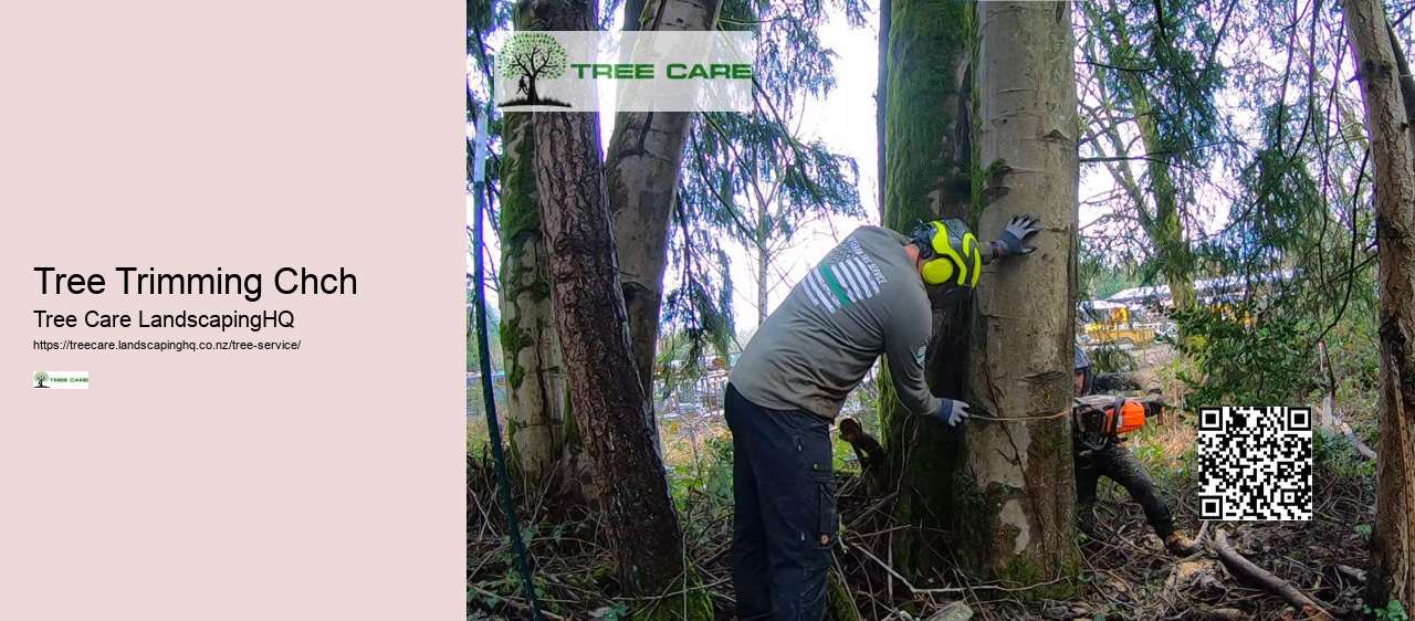 Tree Trimming Auckland