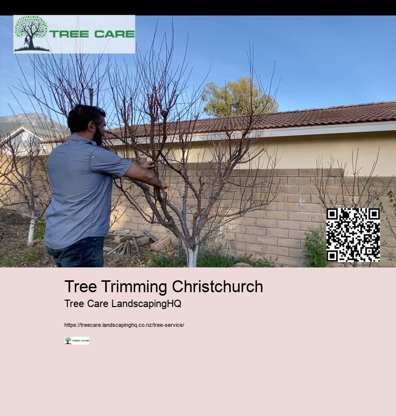 Tree Trimming Christchurch