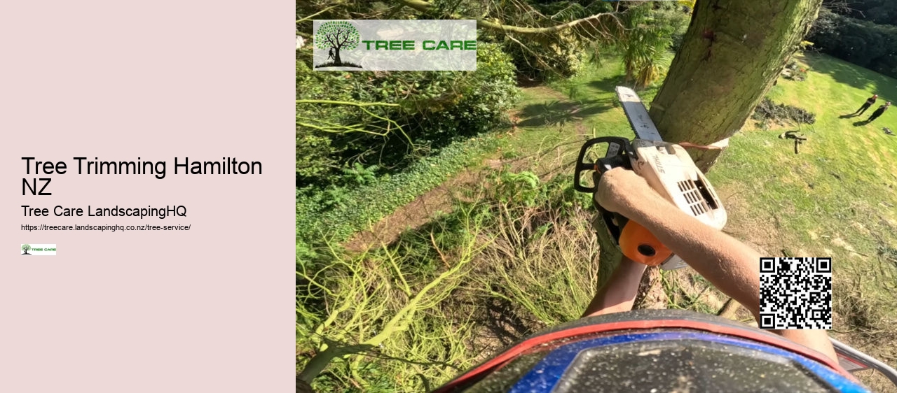 Arborist In Nelson NZ