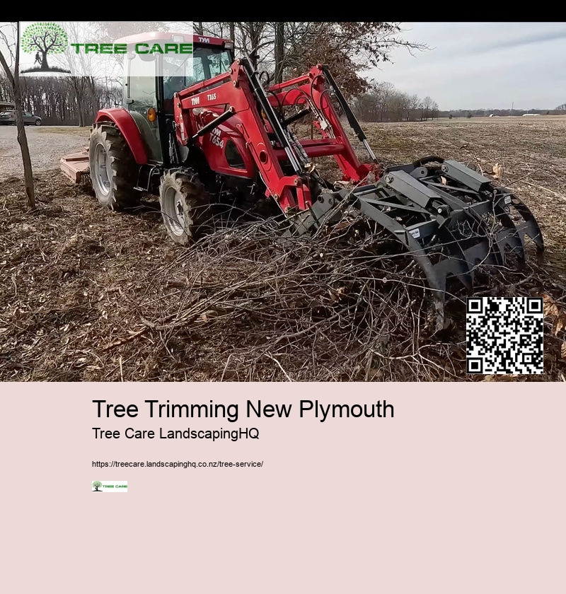 Tree Trimming New Plymouth