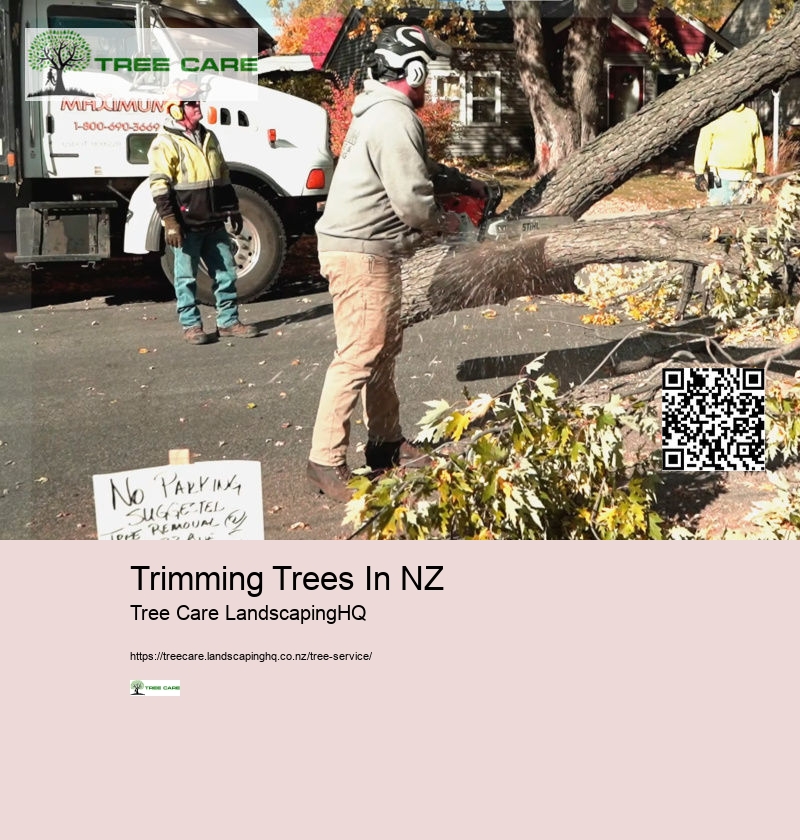 Trimming Trees In NZ