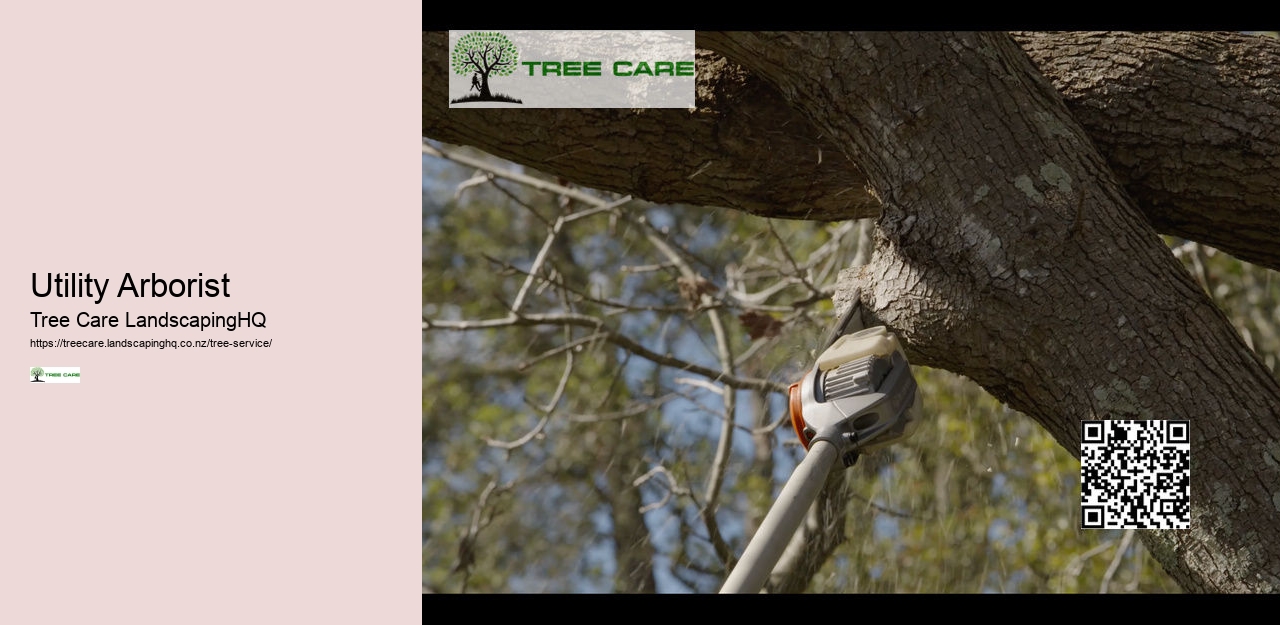 Tree Removal South Auckland